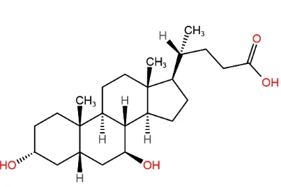 Ursodeoxycholic Acid Ursodeoxycholic Acid